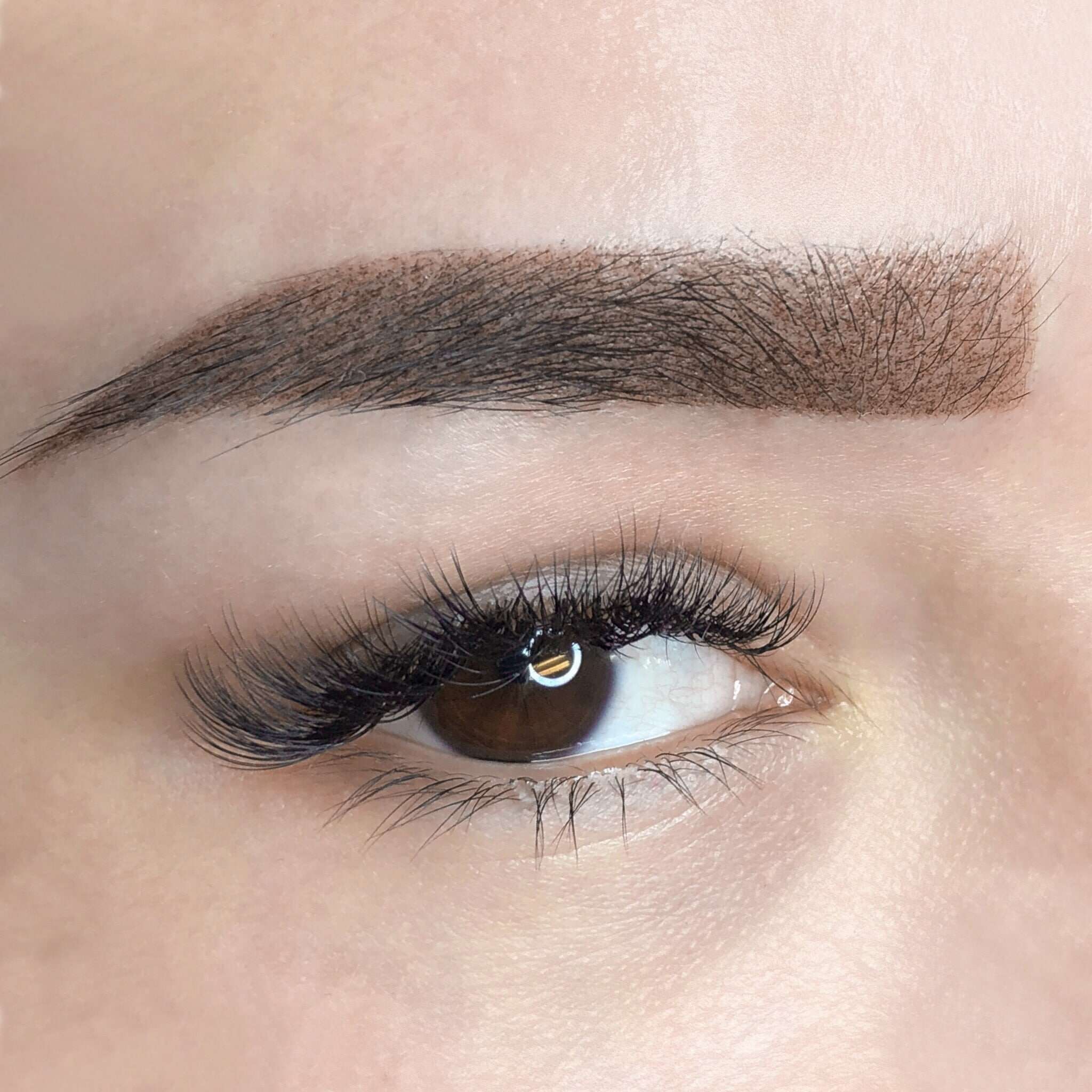 brows